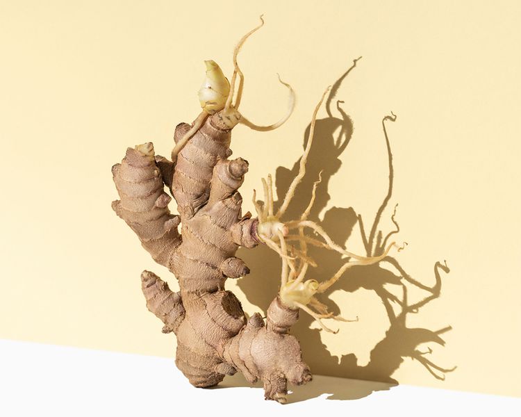 Clænsian marks the end of gingerly living life with a hangover